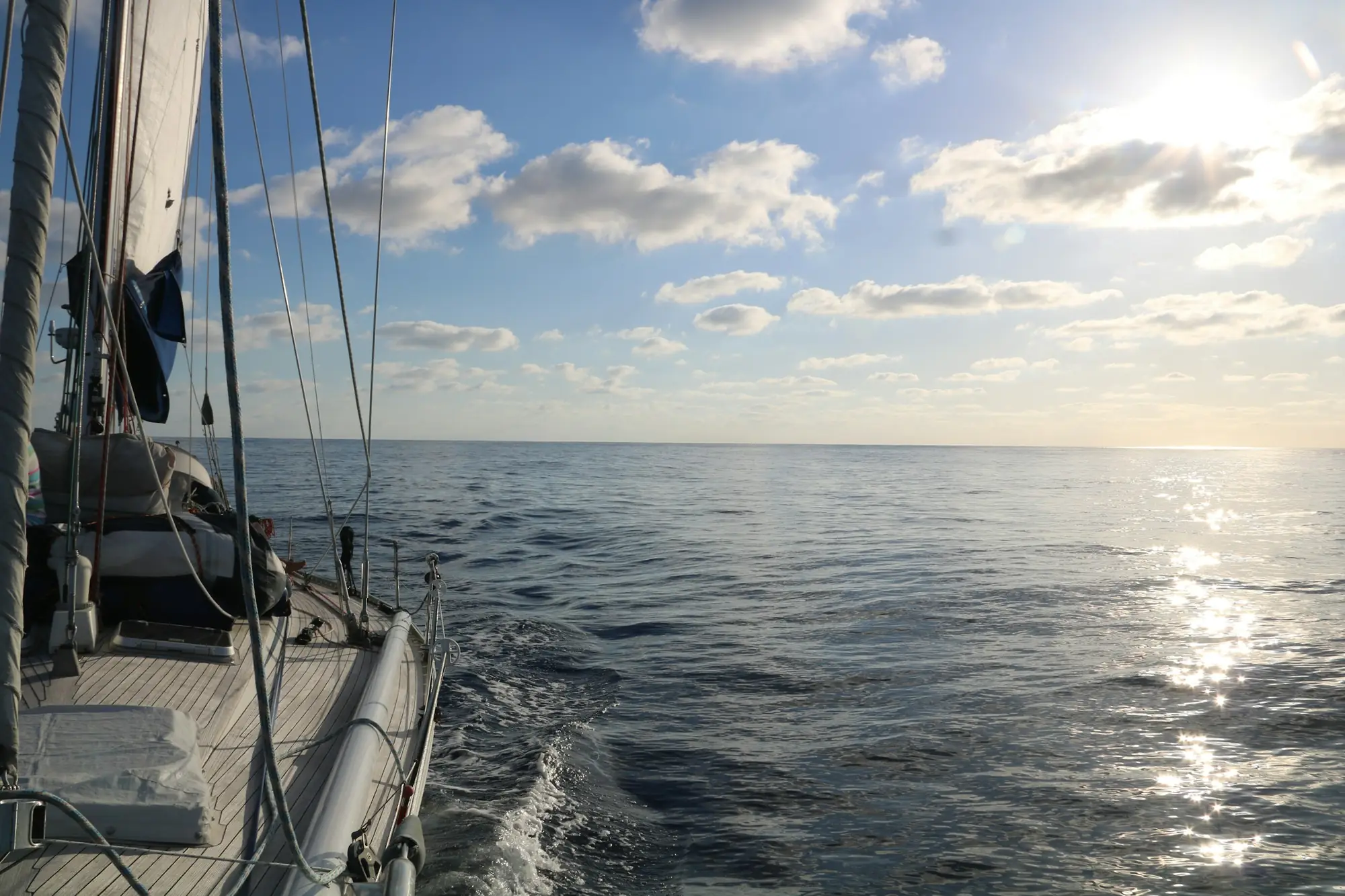 Niklas Roth