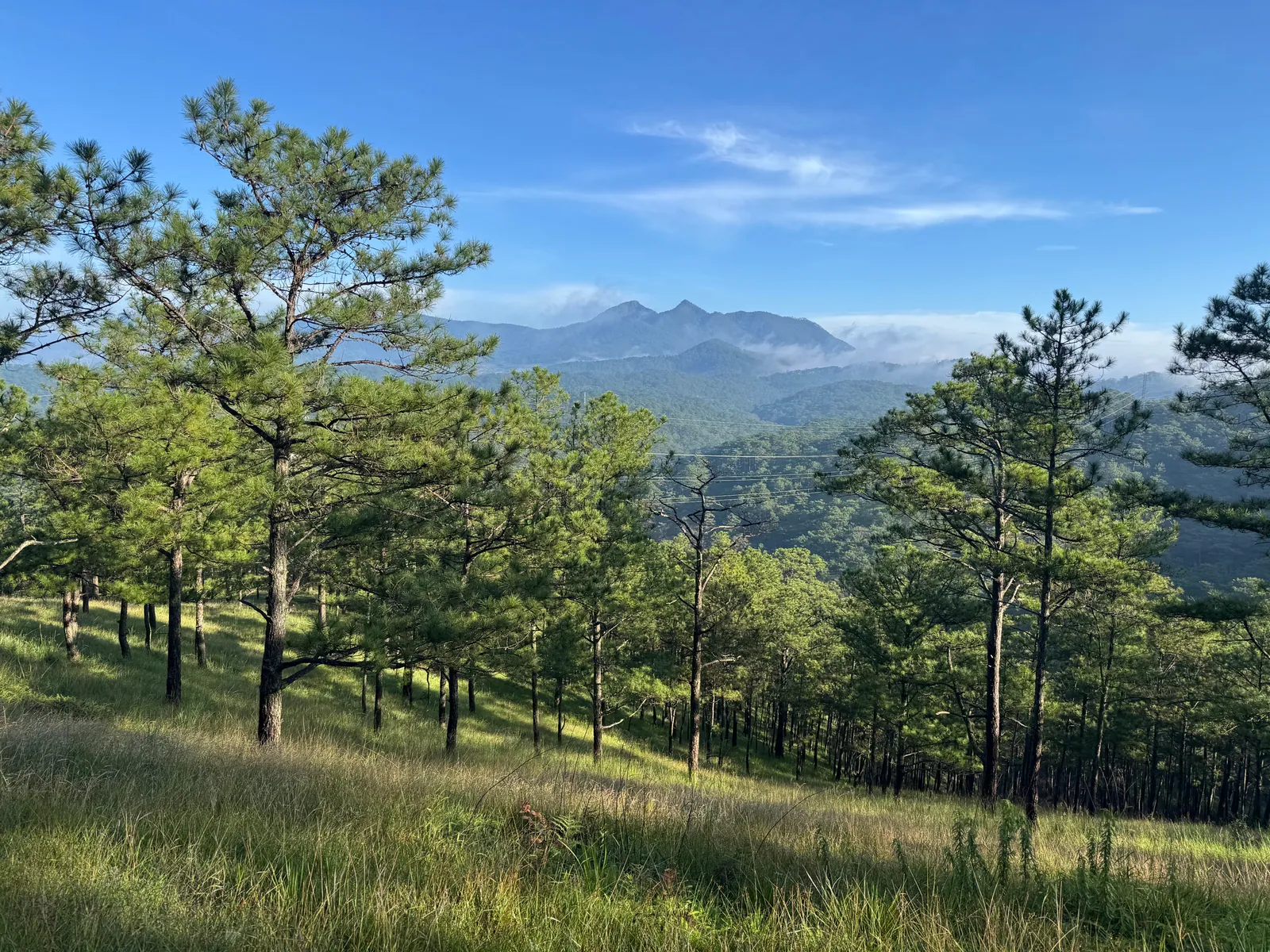 Pine-covered hills and mountains around Dalat