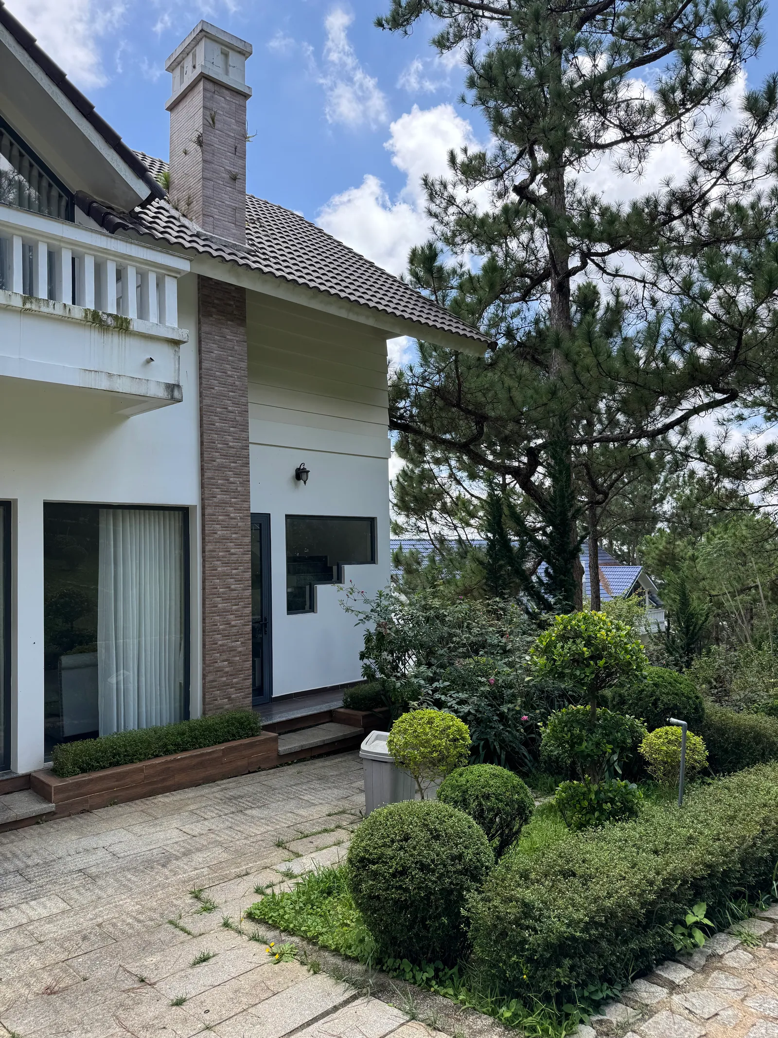 A house among pine trees in Dalat